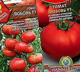 Tomaten Léift, Sumpf, Katyusha, Kemerovoets: Rezensiounen a Beschreiwung