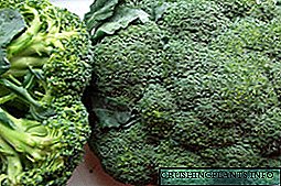 Ngurus brokoli lan tuwuh ing pinggiran kutha