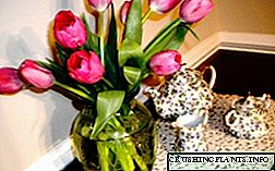Në çfarë uji duhet të vendosen tulipanët në primroses dhe si të ringjallet një tufë lulesh?