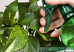 Забелешка на одгледувачот: како да се справите со бели светилки на затворен растенија