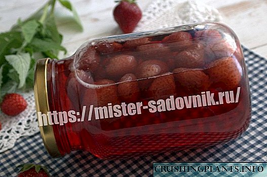Ang strawberry compote nga adunay mint alang sa tingtugnaw - nga walay pag-sterilization sa 30 minuto