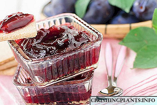 Ġamm tal-frott u berry għax-xitwa - l-aktar riċetti Delicious