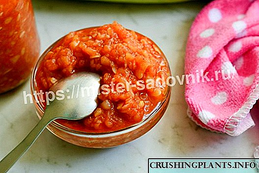 Кышка Zucchini adjika тамак кантип - кадам рецепт сүрөттөр менен кадам