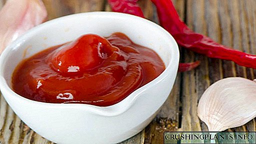ວິທີການປຸງແຕ່ງ ketchup homemade - ສູດທີ່ໄດ້ຮັບການພິສູດຈາກຊາວເມືອງ