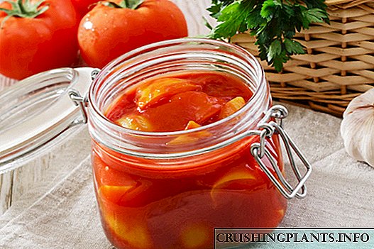 Cara masak lecho kanggo mangsa - resep karo tomat, zucchini, mrico, wortel