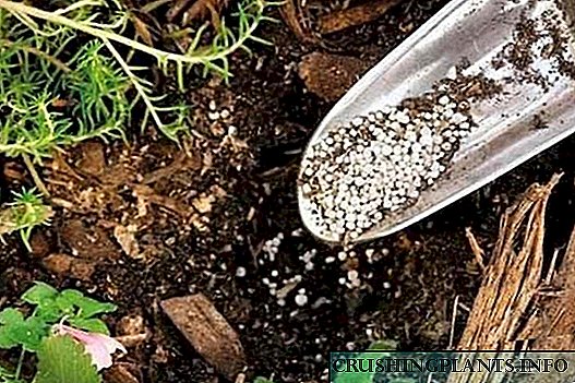 Како да се намали киселоста на почвата во градината - препораки
