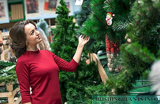 نئے سال کے لئے کرسمس کا ایک عمدہ درخت کیسے منتخب کریں - راز اور اشارے۔