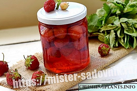 Etu esi akwadebe strawberries na sirop maka oge oyi - nzọụkwụ site na ntinye nzọụkwụ na foto