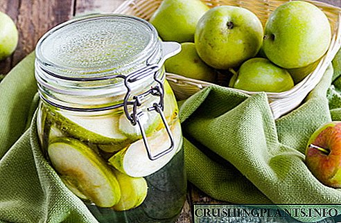 Како да се соберат јаболка за зима - добри рецепти од жители на лето