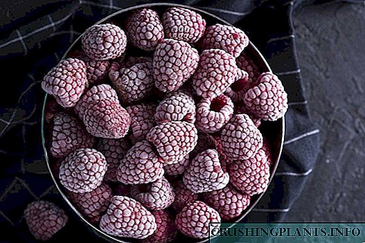 Kif tiffriża l-lampun għax-xitwa ma 'berries sħaħ, mitħunin u biz-zokkor