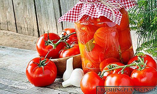 ایک جار میں ، ایک پین میں ، بالٹی ، بیرل یا ٹب میں موسم سرما کے لئے اچار ٹماٹر کا طریقہ۔