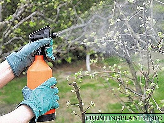 Tembaga sulfat kanggo ngolah wit lan grumbulan - aplikasi, komposisi, konsumsi