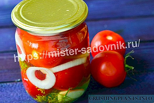 Tomato i ka jelly no ka hoʻoilo - hopena hopena !!!