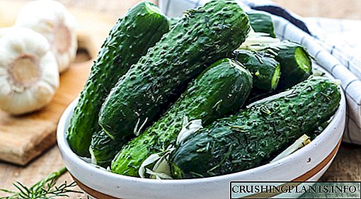 Na oidis cucumber saillte is delicious