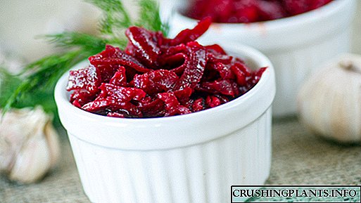 გემრიელი გასახდელი borscht ზამთრისთვის - პოპულარული რეცეპტები