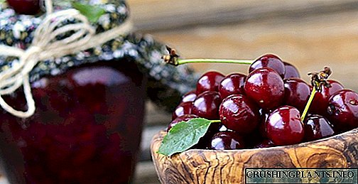 Maayong mga cherry alang sa tingtugnaw - napamatud-an nga mga resipe