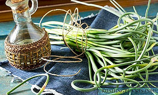Bileoga Garlic Arrow - Recipes Gheimhridh Proven