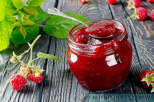 ဆောင်းတွင်းအဘို့အ Raspberry ၏ဘား - အရသာရှိတဲ့စမ်းသပ်ပြီးချက်ပြုတ်နည်းများ
