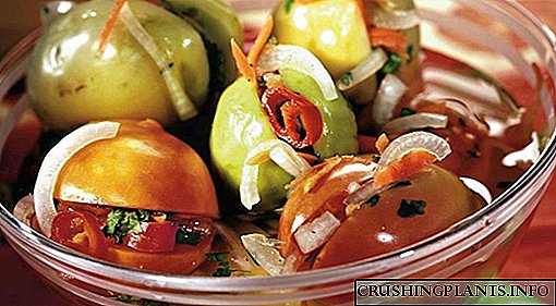 Panen tomat ijo kanggo mangsa - resep paling apik kanggo saben rasa