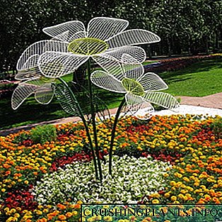 Аранжмани на градинарски цвеќиња и фото цветен дизајн