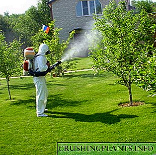 Mbrojtja e kopshtit kundër dëmtuesve dhe sëmundjeve të insekteve