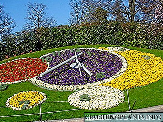 Neobični cvjetni sat Karla Linnaeusa
