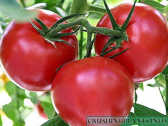 Daptar jenis pangsaéna tina tomat